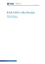 RAK WisDuo Series Manual предпросмотр