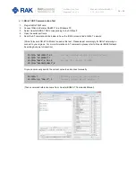 Предварительный просмотр 24 страницы RAK WisLink-Cellular RAK2011 User Manual