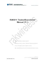 RAKwireless RAK811 User Manual preview