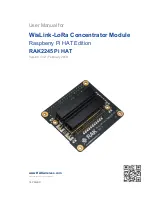 RAKwireless WisLink-LoRa RAK2245 Pi HAT User Manual preview