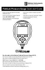 Ralston Instruments FieldLab Quick Start Manual предпросмотр