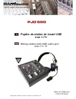 RAM PJO 550 User Manual preview
