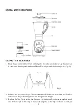 Предварительный просмотр 3 страницы RAMTONS RM/259 Instruction Manual