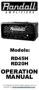 Randall Diavlo RD45H User Manual предпросмотр