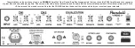 Предварительный просмотр 2 страницы Randall RG80 User Manual