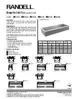 Randell 9700IC Specifications preview