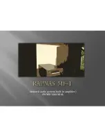 Rapnas MF-1 Owner'S Manual preview