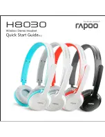 Rapoo H8030 Quick Start Manual предпросмотр