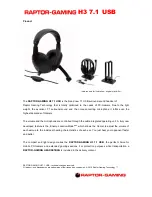 Raptor-Gaming Gaming H3 7,1 USB Product Brief preview