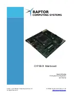 Raptor C1P9S01 User Manual предпросмотр