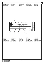 Предварительный просмотр 117 страницы Ravaglioli RAV 725 DC Manual