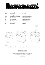 Ravanson CS-20S User Manual preview