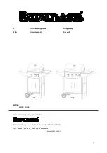 Ravanson GO-2 User Manual preview