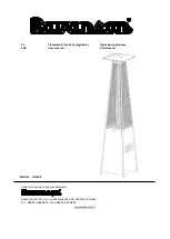 Ravanson OG-300 User Manual preview