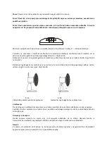 Предварительный просмотр 28 страницы Ravanson WT-1023 User Manual