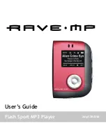 Rave-MP Amp128 User Manual preview