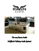 Raven Audio Goldfinch Tabletop Audio System 2015 User Manual предпросмотр