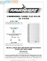 Preview for 1 page of Ravenheat Flue Boiler Installation And Servicing Instructions