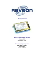 Raveon RV-M3-M Manual preview