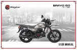 Raybar BRAVO 150 User Manual preview