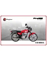 Raybar RY-125PRO User Manual preview