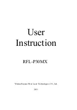 Preview for 2 page of Raycus P30MX User Instruction