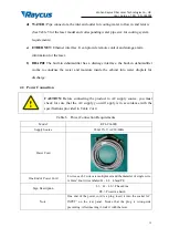 Предварительный просмотр 19 страницы Raycus RFL-C6600S User Manual