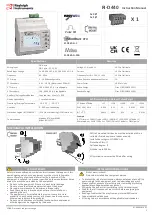 Rayleigh Instruments RI-D440 Instruction Manual preview