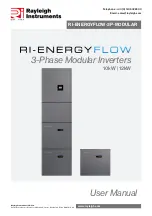 Rayleigh Instruments RI-ENERGYFLOW-3P-MODULAR... User Manual preview