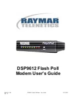 Raymar DSP9612 User Manual preview