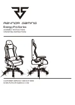 Raynor Gaming Energy Pro Series Assembly And Operating Instructions preview