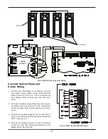 Предварительный просмотр 24 страницы Raypak 1003A Installation & Operating Instructions Manual