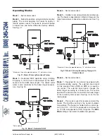 Предварительный просмотр 31 страницы Raypak 1005-2005 Installation & Operating Instructions Manual