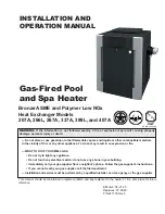 Preview for 1 page of Raypak 207A Installation And Operation Manual