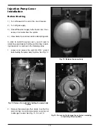 Предварительный просмотр 12 страницы Raypak 241275 Installation And Operating Instructions Manual