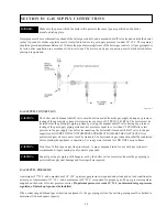 Preview for 19 page of Raypak 302-902 Installation And Operating Instructions Manual