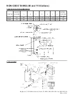 Preview for 2 page of Raypak 80 and 115 Gallons Specifications