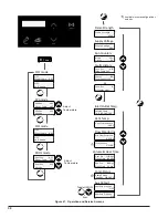 Preview for 30 page of Raypak AVIA 264A Installation And Operation Manual