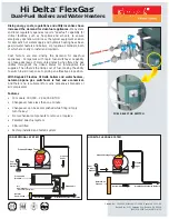 Предварительный просмотр 1 страницы Raypak FlexGas Features