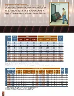 Preview for 4 page of Raypak MVB 503 Brochure & Specs