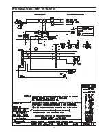 Предварительный просмотр 41 страницы Raypak Power Vent Raytherm 4001 Installation & Operating Instructions Manual