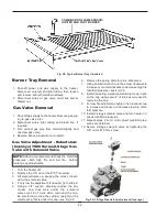 Предварительный просмотр 46 страницы Raypak Power Vent Raytherm 4001 Installation & Operating Instructions Manual