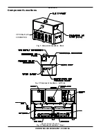 Предварительный просмотр 6 страницы Raypak Raypak Delta Limited 1259B Installation & Operating Instructions Manual