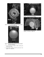 Предварительный просмотр 25 страницы Raypak Raypak Delta Limited WH1-399B Installation And Operation Manual