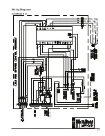 Предварительный просмотр 29 страницы Raypak Raypak Delta Limited WH1-399B Installation And Operation Manual