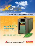 Raypak XFYRE NINETY PLUS 300 Brochure & Specs preview