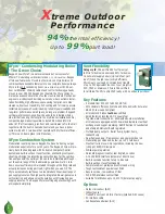 Preview for 2 page of Raypak XFYRE NINETY PLUS 300 Brochure & Specs