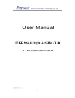 Rayson Technology WFM-210 User Manual предпросмотр