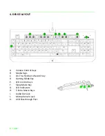 Preview for 5 page of Razer BlackWidow Ultimate Stealth Edition Quick Start Manual