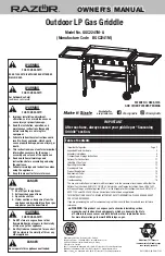 Razor GGC2241M-A Owner'S Manual preview